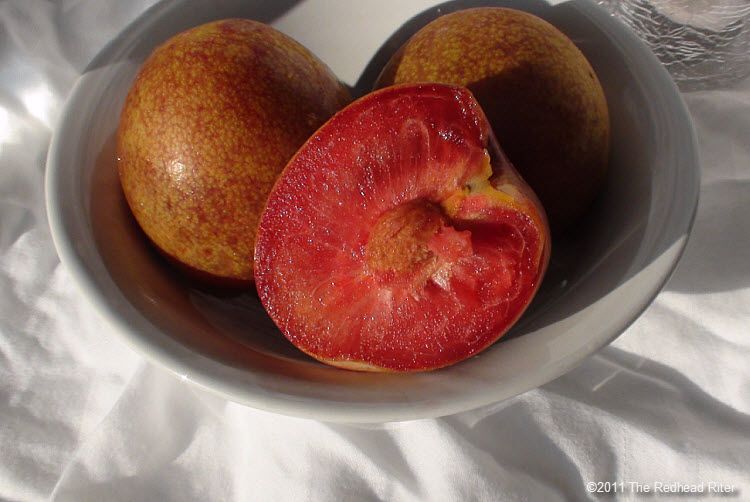 It Is So Sexy Ripe Plums Are Falling